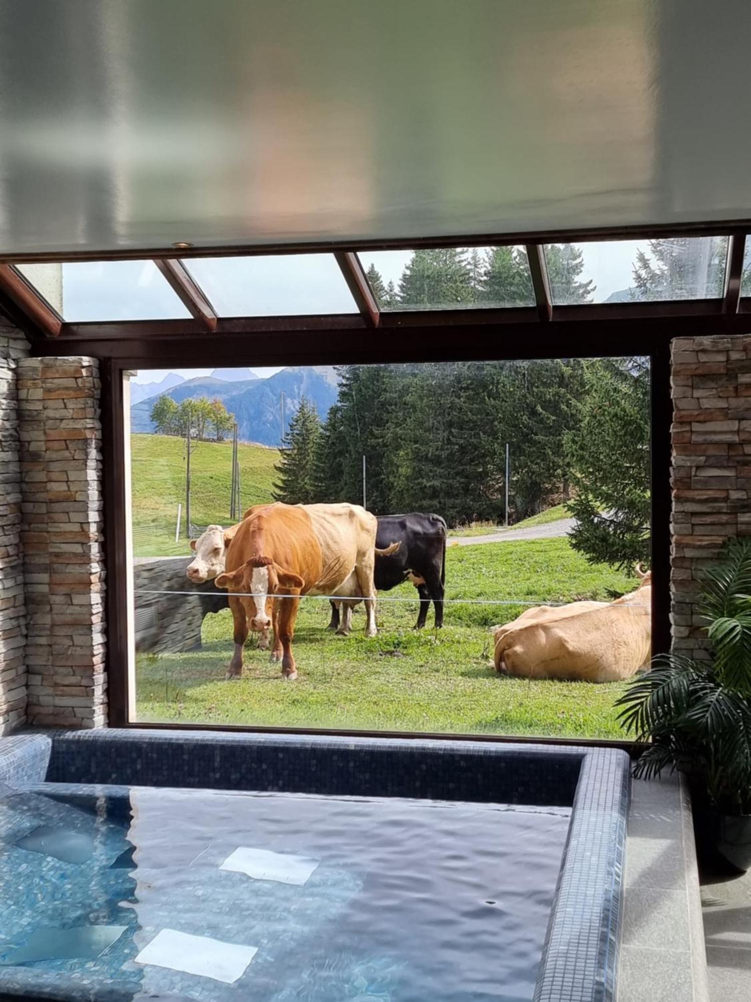 Mountain Lodge, Ле-Крозе Экстерьер фото